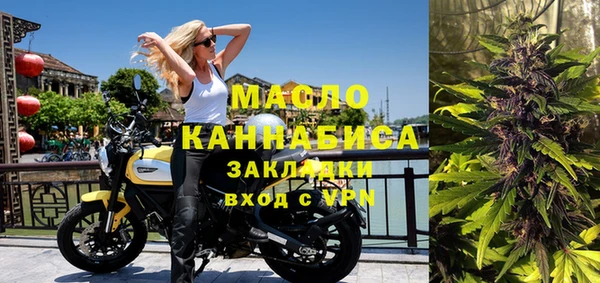 шишки Белокуриха
