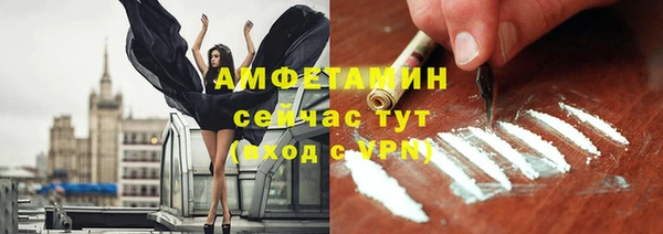 шишки Белокуриха