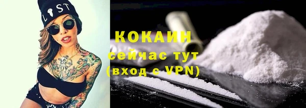 шишки Белокуриха