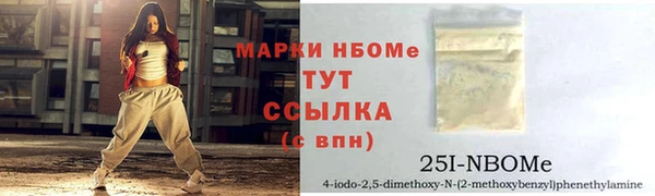 шишки Белокуриха