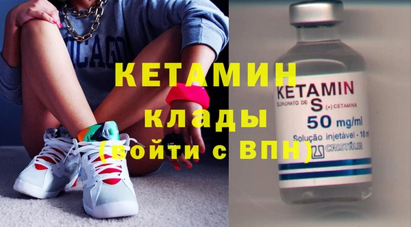шишки Белокуриха