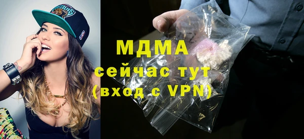 шишки Белокуриха