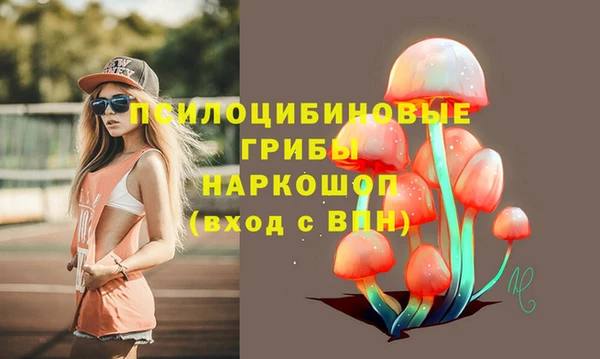 МДПВ Беломорск
