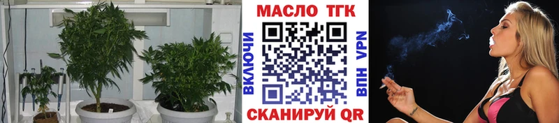 shop состав  ссылка на мегу сайт  Питкяранта  ТГК вейп 