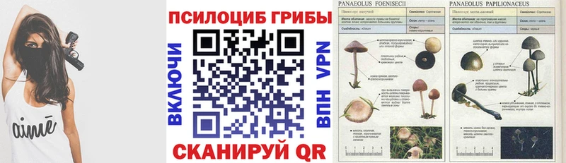 Галлюциногенные грибы GOLDEN TEACHER Питкяранта
